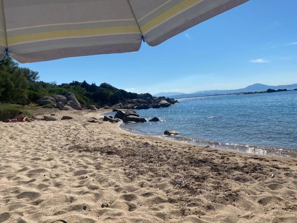 Seaside Apartments Casa Carla E Casa Andrea 올비아 외부 사진