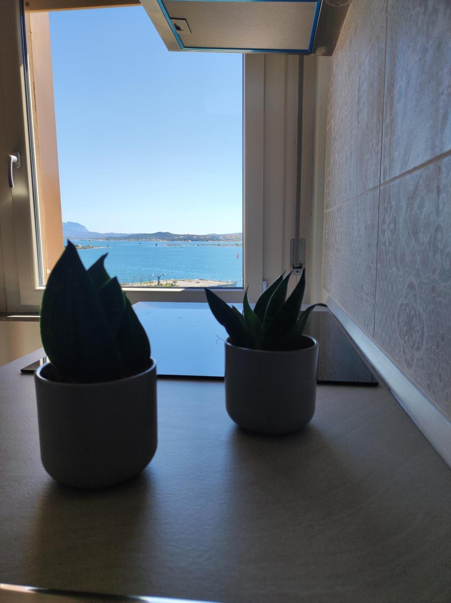 Seaside Apartments Casa Carla E Casa Andrea 올비아 외부 사진